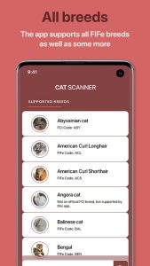 cat-scanner-screenshot