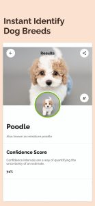 dog-breed-identifier-screen