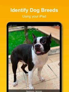 dog-scan-breed-id-screen