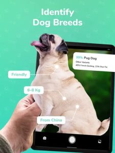 dog-scanner-screen