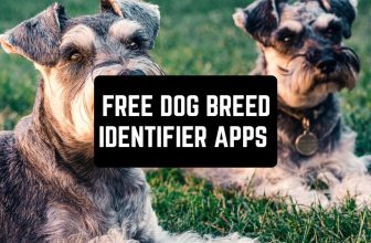 free-dog-identifier-apps
