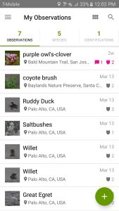 iNaturalist-screen