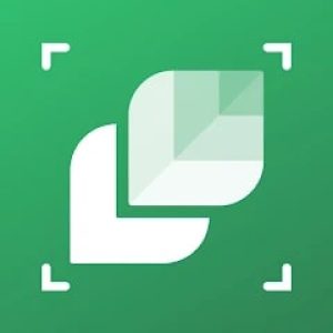 leafsnap-logo-1