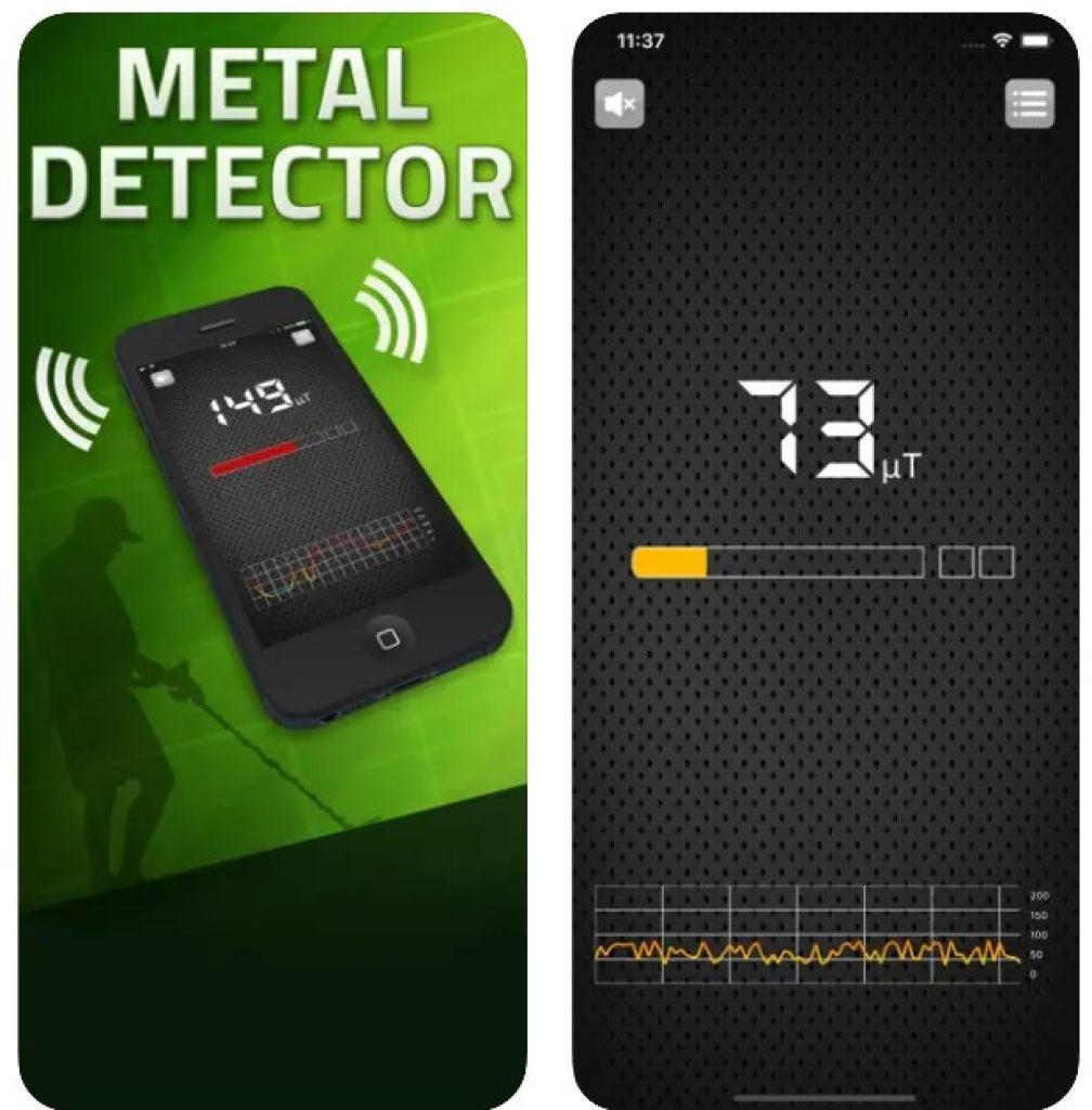 Metal Detector EMF1