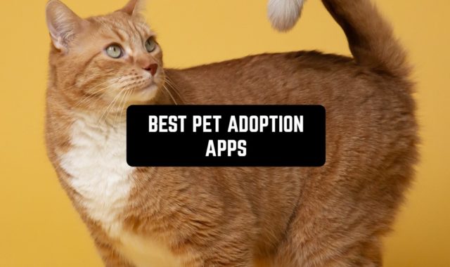 7 Best Pet Adoption Apps in 2024 (Android & iOS)