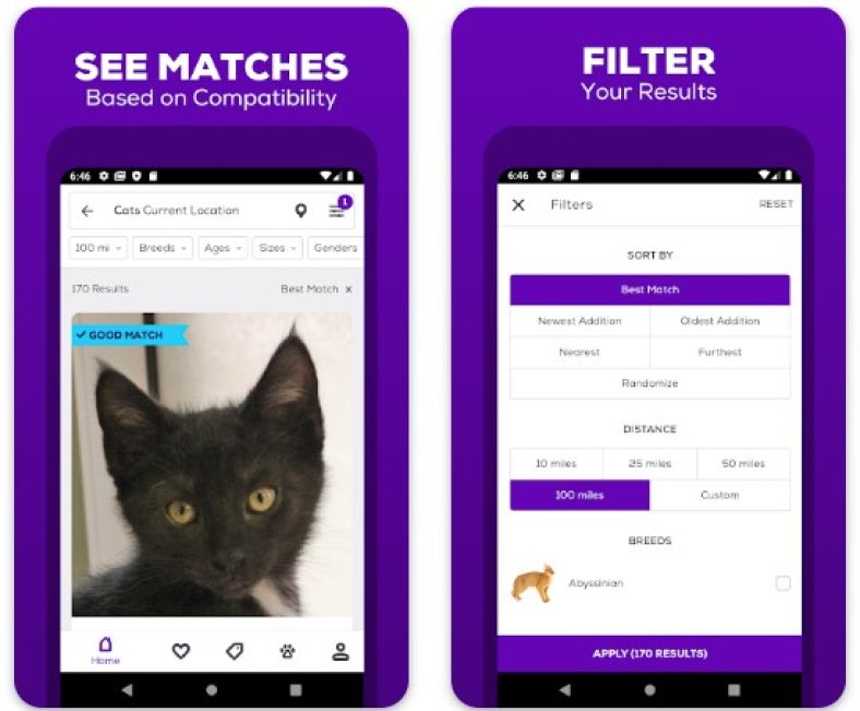 7 Best Pet Adoption Apps in 2024 (Android & iOS) Freeappsforme Free