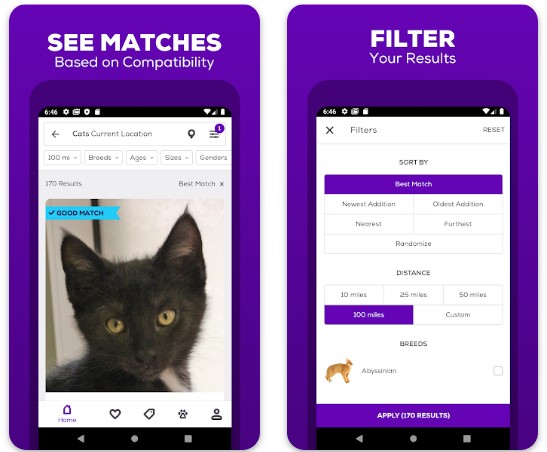 7 Best Pet Adoption Apps in 2024 (Android & iOS) | Freeappsforme - Free ...