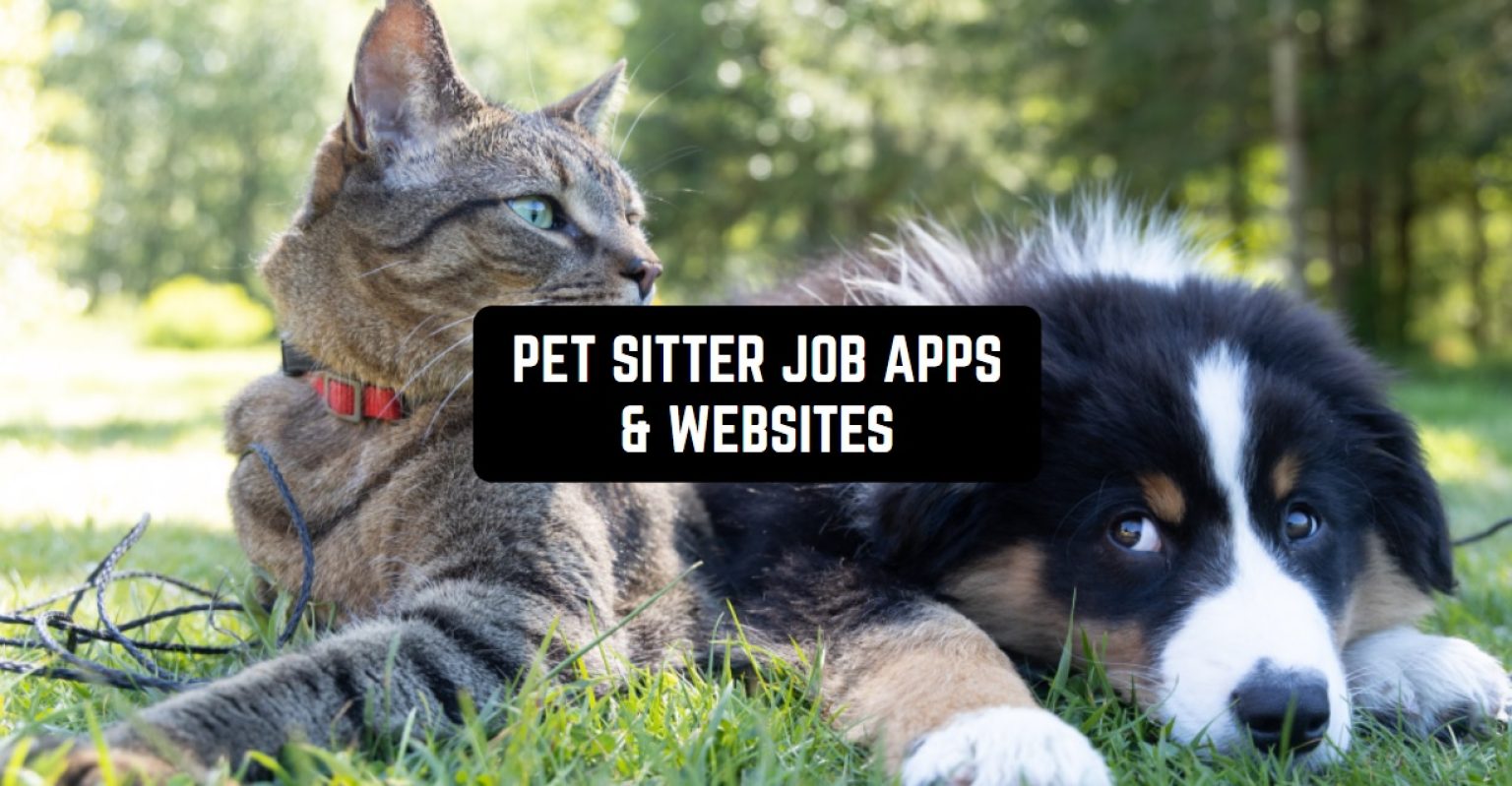 7 Best Pet Sitter Job Apps & sites in 2024 Freeappsforme Free