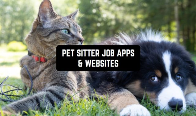 7 Best Pet Sitter Job Apps & Websites in 2024