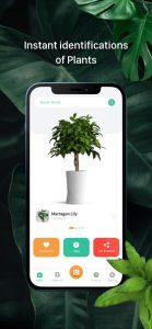 plant-identification-screen-11