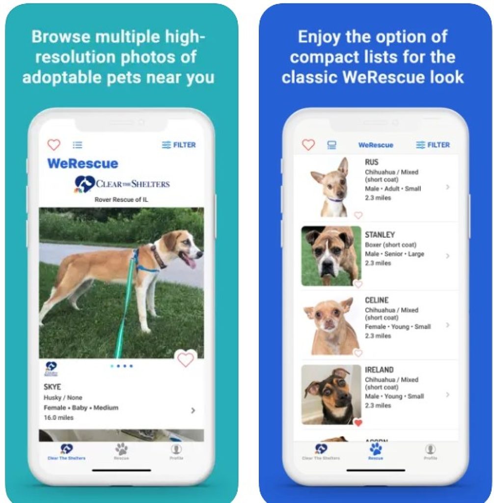 WeRescue – Adopt a Pet1