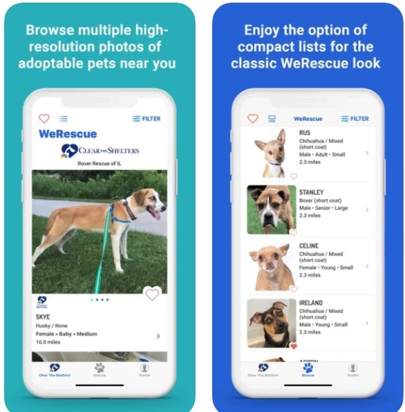 7 Best Pet Adoption Apps in 2024 (Android & iOS) Freeappsforme Free