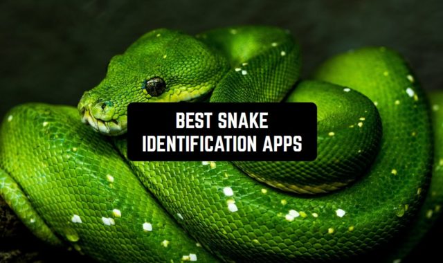 7 Best Snake Identification Apps for Android & iOS