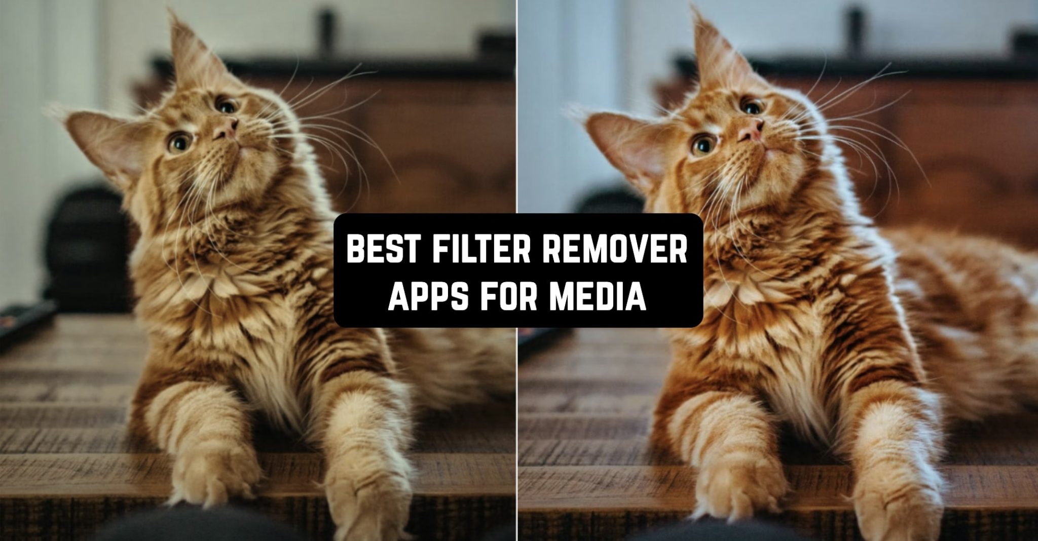13 Best Filter Remover Apps For Media in 2024 (Android & iOS) Freeappsforme Free apps for