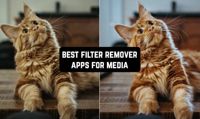 13 Best Filter Remover Apps For Media in 2024 (Android & iOS)