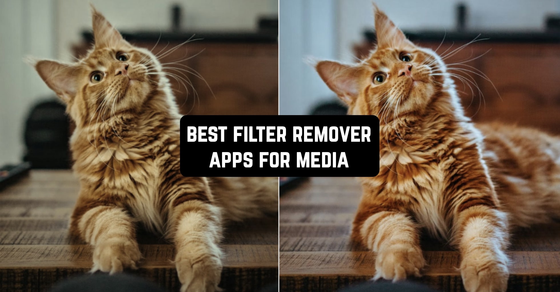 Best-Filter-Remover-Apps-For-Media