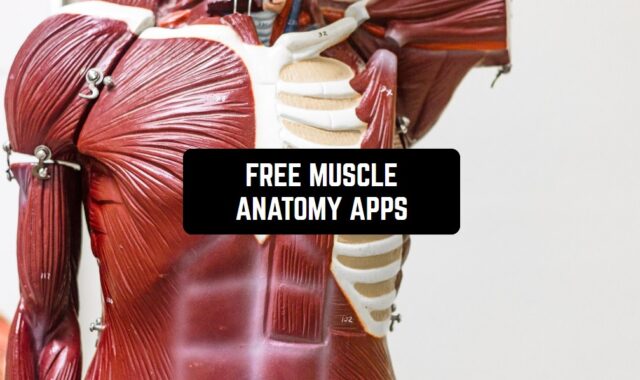 8 Free Muscle Anatomy Apps For Android & iOS