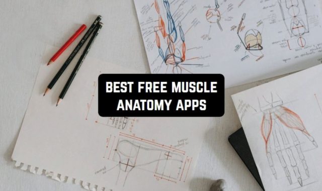 7 Free Muscle Anatomy Apps For Android & iOS