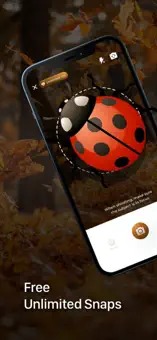 Insect ID - Bug Identifier8