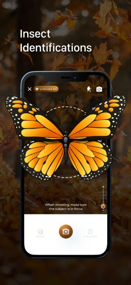 Insect ID - Bug Identifier8