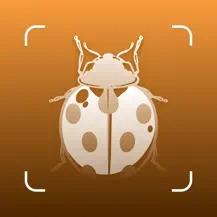 Insect ID - Bug Identifier8