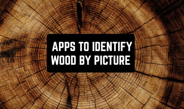 8 Apps to Identify Wood by Picture (Android & iOS)