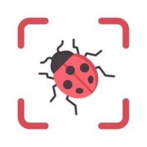 bug-identifier-logo-1