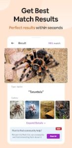 spiders-identifier-screen-1