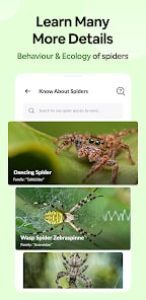 spiders-identifier-screenshot-1