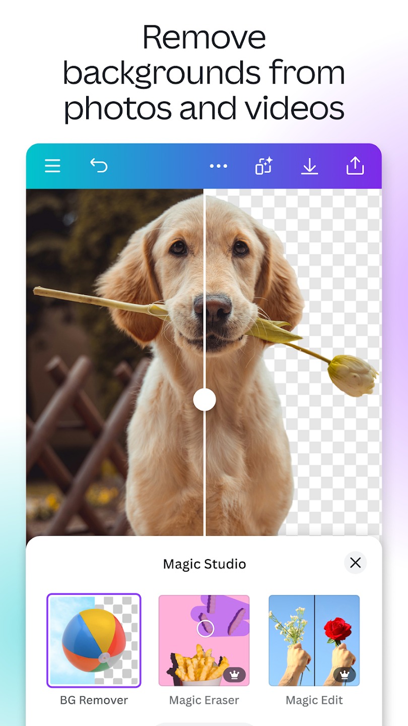 Canva AI Video & Photo Editor1