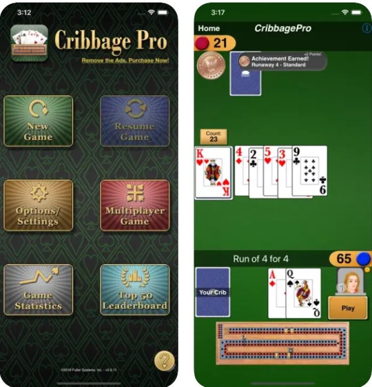 11 Best Cribbage Apps to Play Online & Offline (Android & iOS