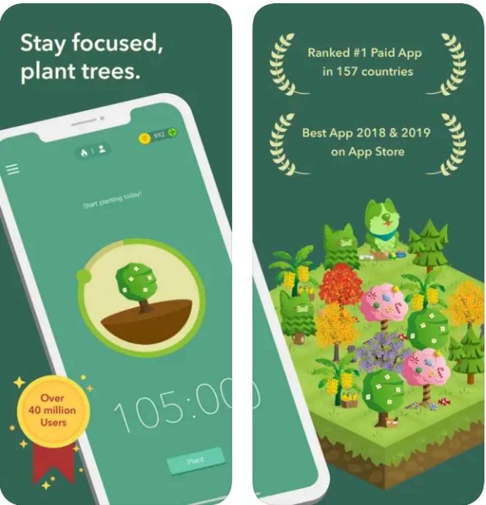 Stay forest. Приложение Форест. Stay Focused app. Forest Focus for Productivity. Focus приложение.