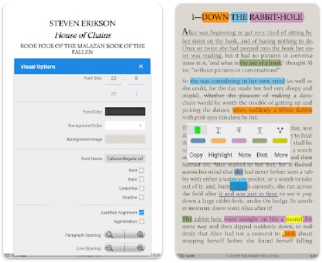 moom+reader1