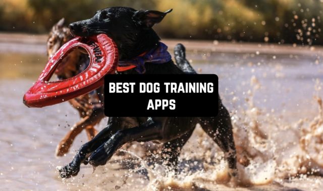 11 Best Dog Training Apps 2024 (Android & iOS)