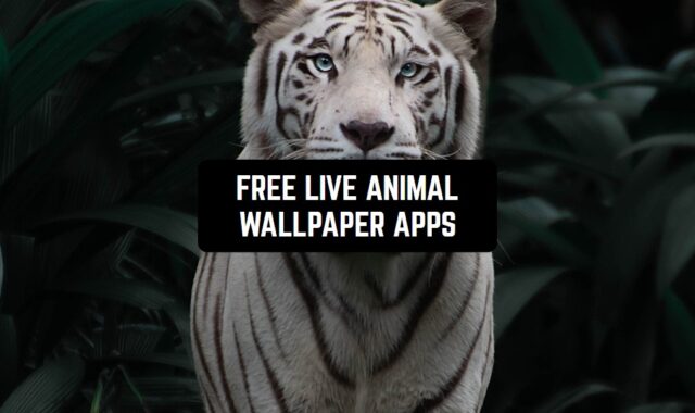 8 Free Live Animal Wallpaper Apps for Android