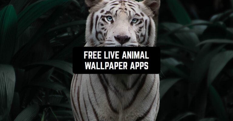 FREE LIVE ANIMAL WALLPAPER APPS1