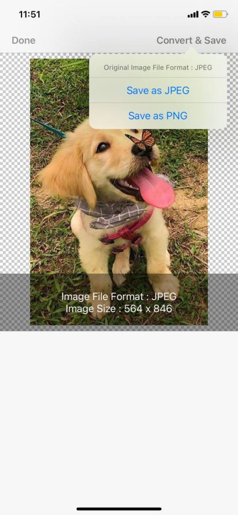 JPEG-PNG Image File Converter 1