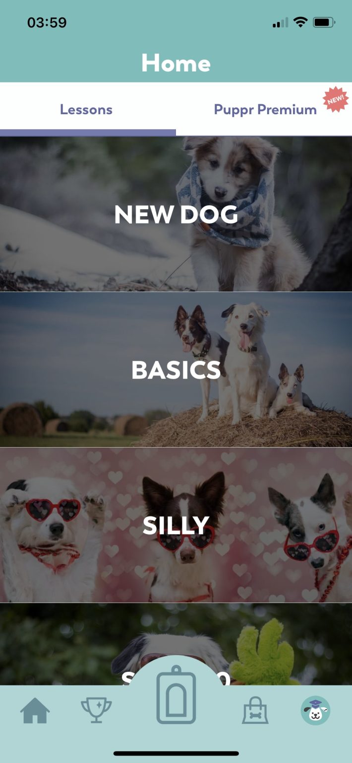 11 Best Dog Training Apps 2024 (Android & iOS) Freeappsforme Free