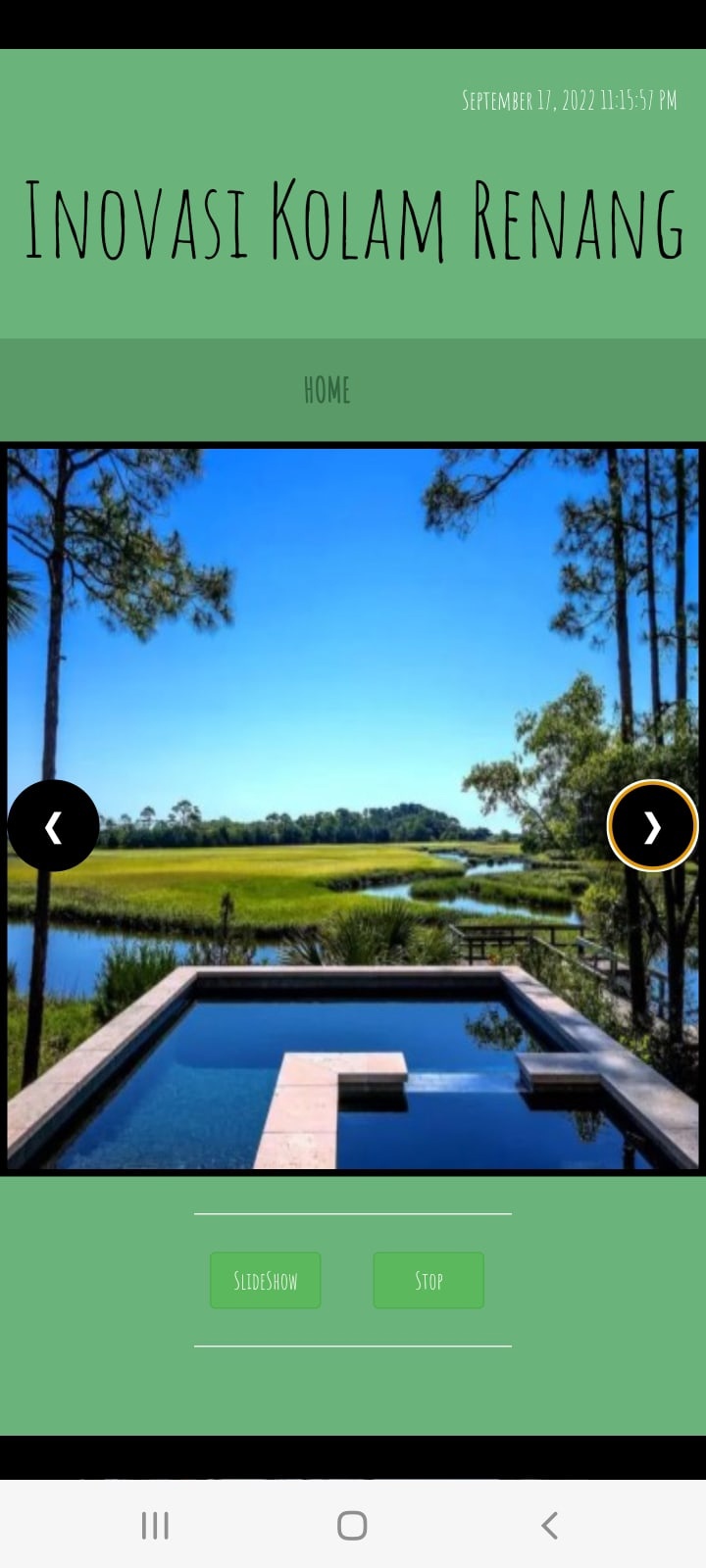 Best Pool Design Ideas by Rigallapli1