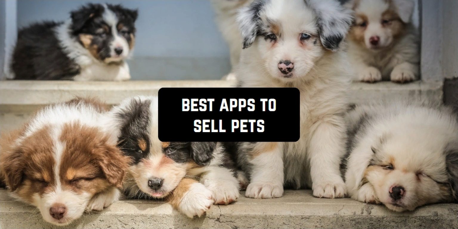 7 Best Apps to Sell Pets in 2024 Freeappsforme Free apps for