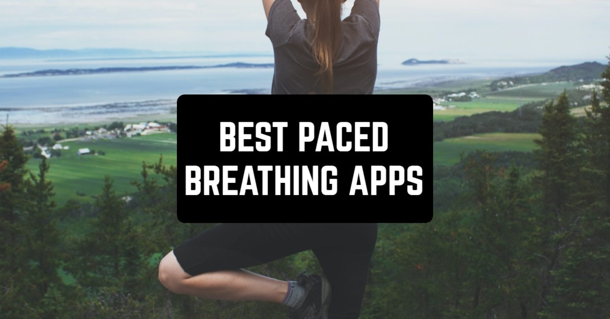 6 Best Paced Breathing Apps in 2023 (Android & iOS) Freeappsforme