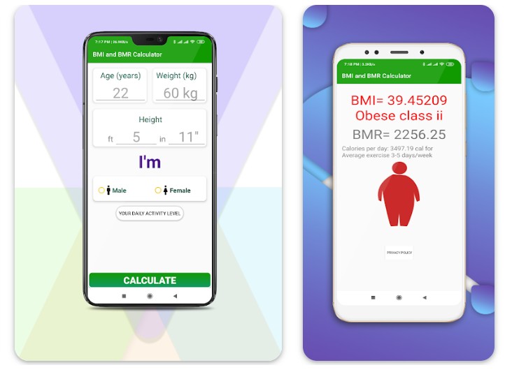 BMI and BMR Calculator1