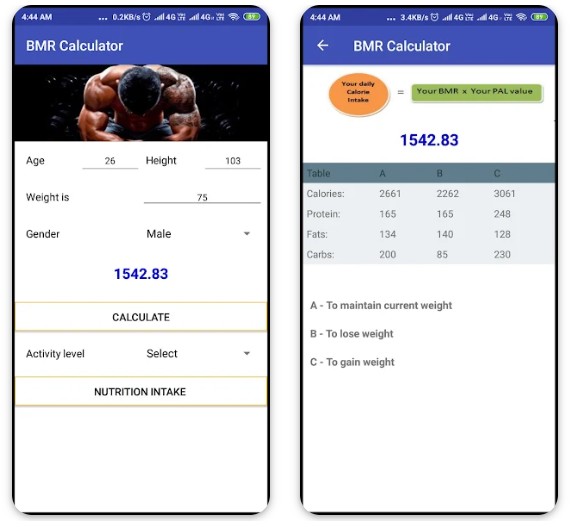 BMR Calculator1