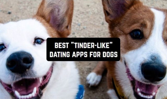 7 Best “Tinder-Like” Dating Apps for Dogs