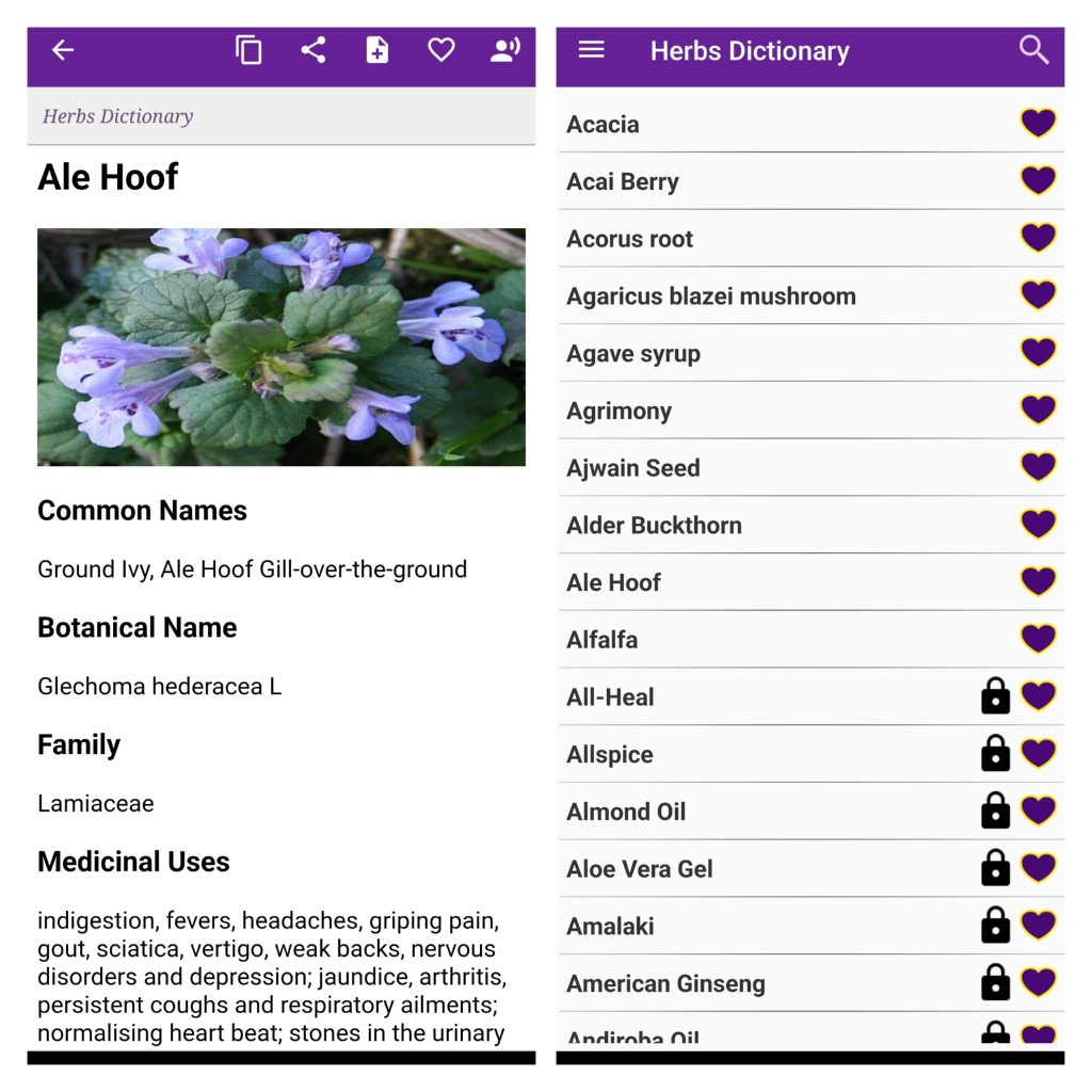 Herbs Dictionary Pro1