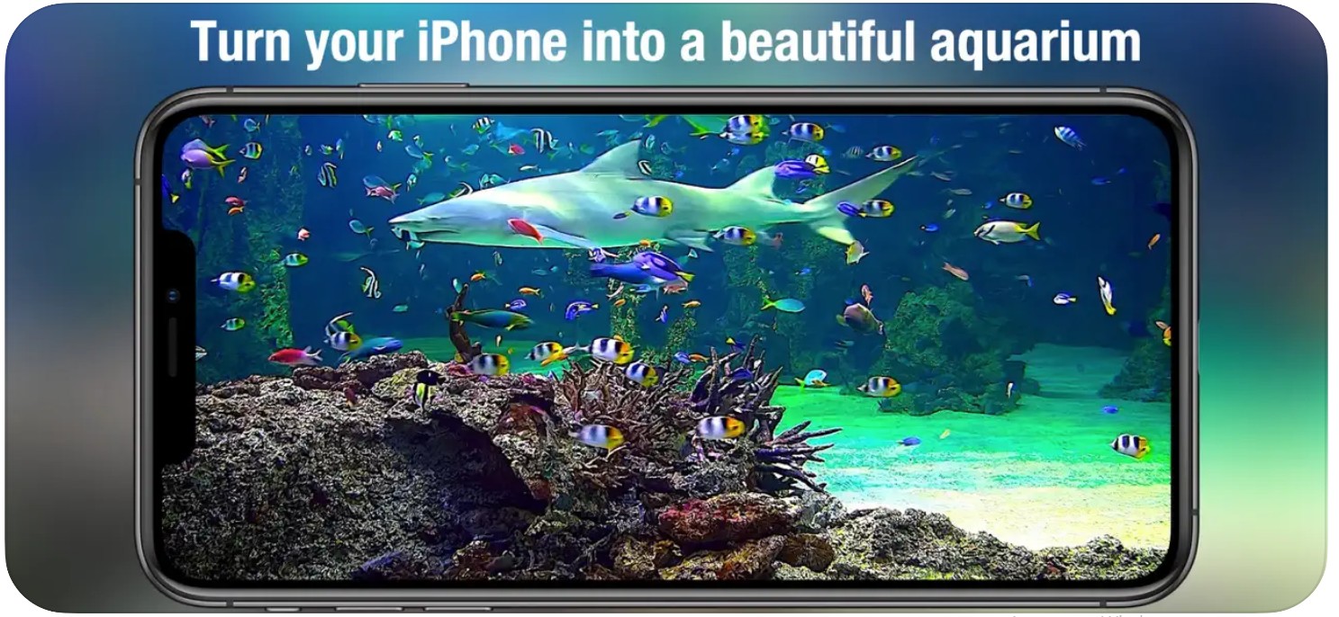 Aquarium Live HD +1