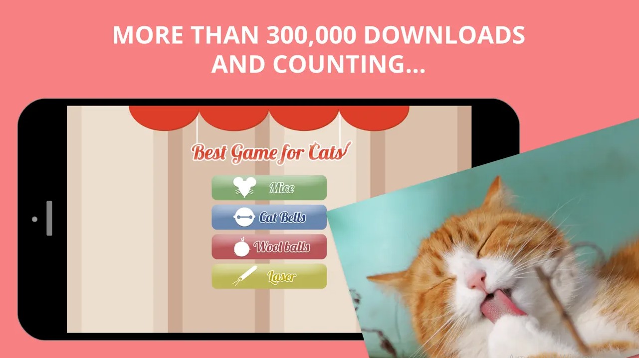 Best Game for Cats1