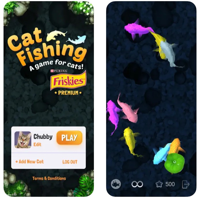 Cat Fishing 21