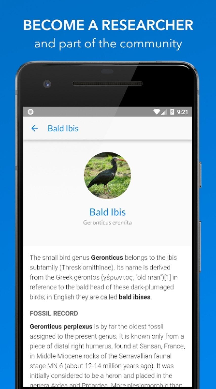 7 Best Animal Identification Apps for Android & iOS Freeappsforme