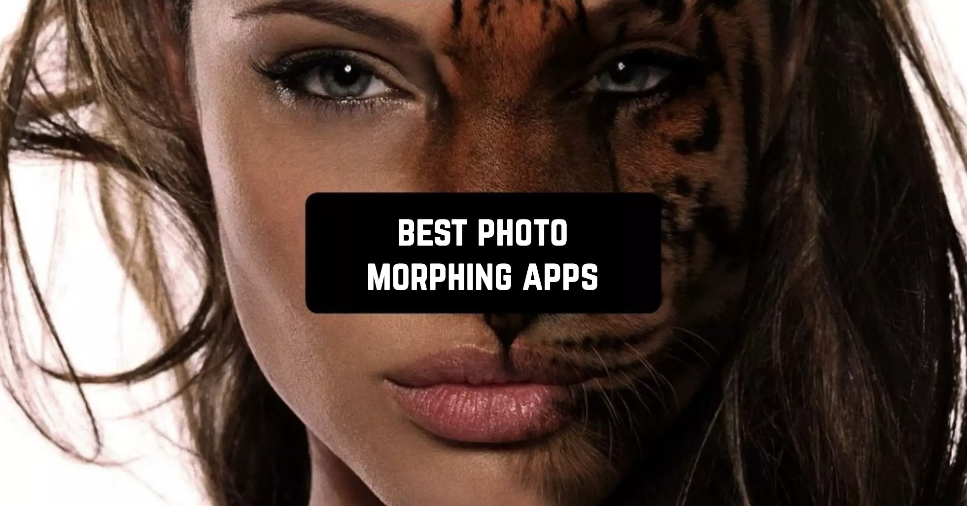 picture morphing apps